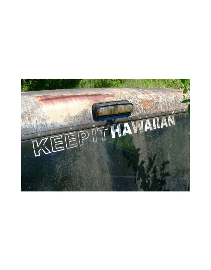 Fleetwood Keep It Hawaiian (Unique) by Mick Fleetwood