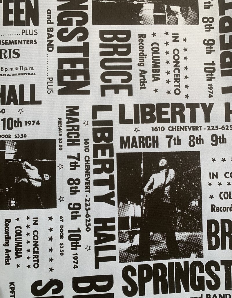Springsteen Liberty Hall Show Prints by Nicki Germaine