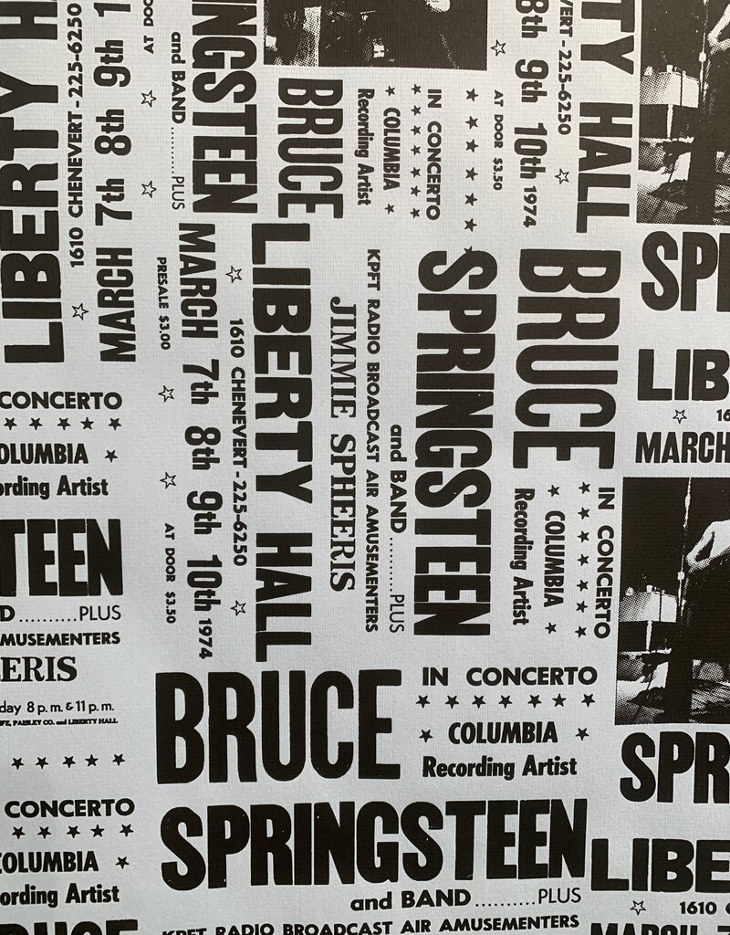 Springsteen Liberty Hall Show Prints by Nicki Germaine
