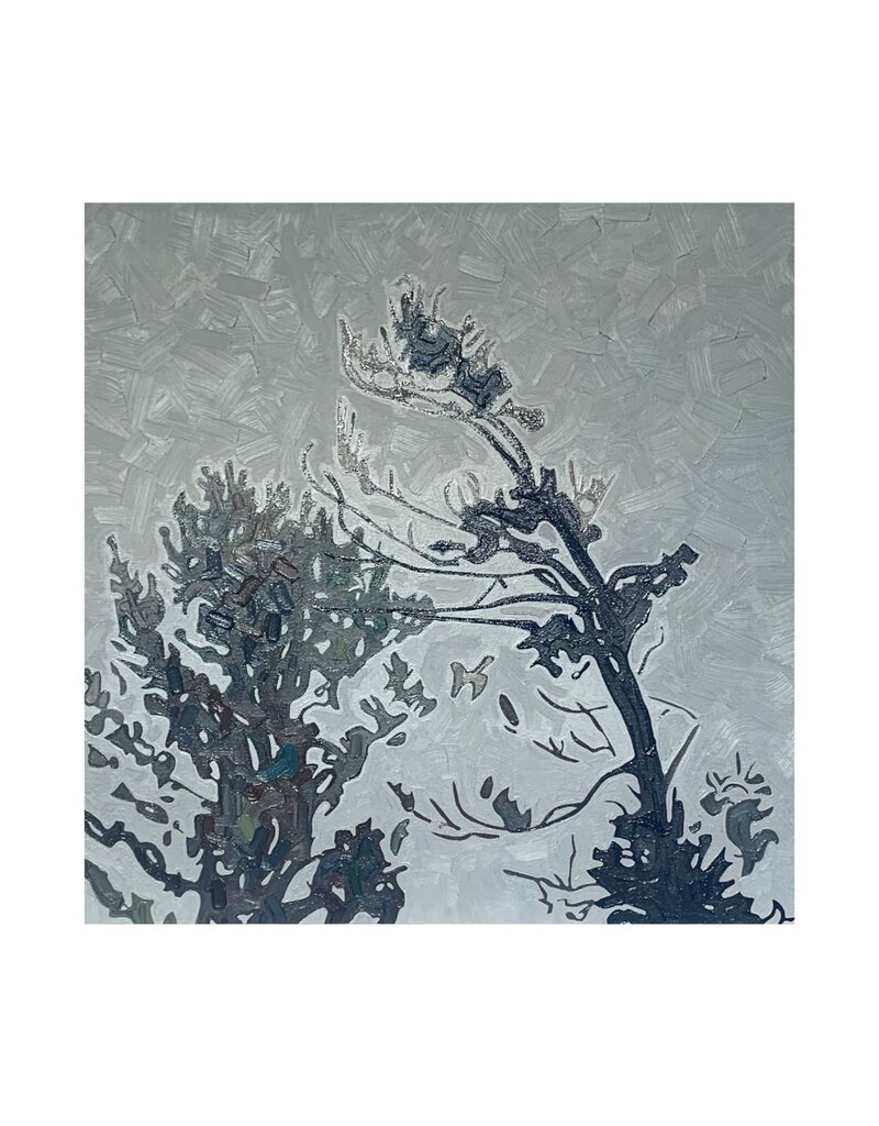Grieve Jenny's Trees 1 (Original) by David Grieve