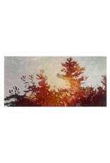 Grieve Shifting Pine 2 (Original) by David Grieve