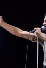 Goldsmith Freddie Mercury, 1986 by Lynn Goldsmith