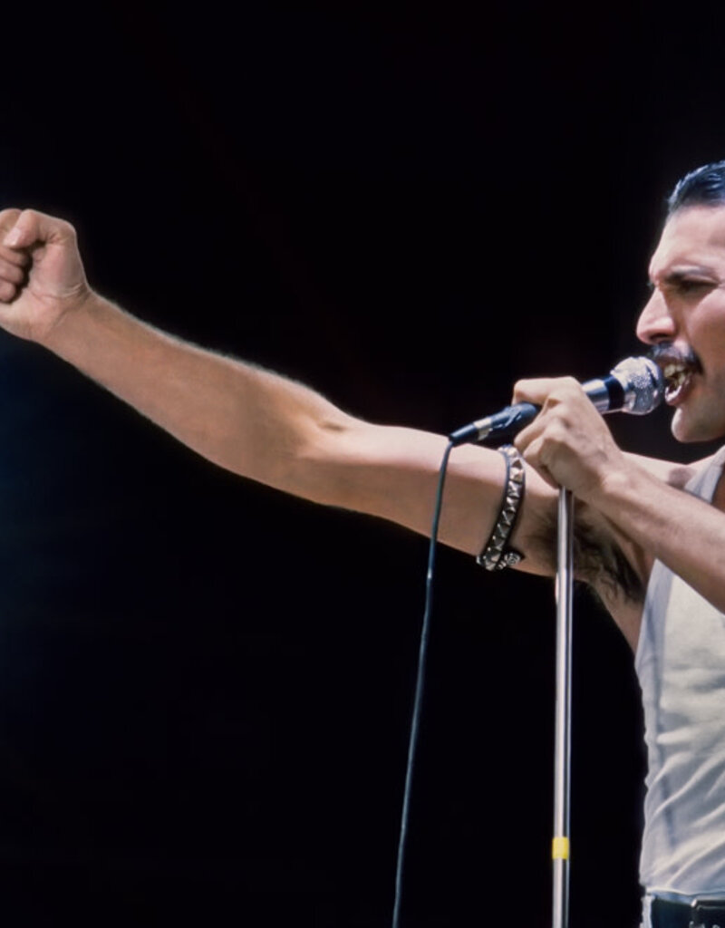 Goldsmith Freddie Mercury, 1986 by Lynn Goldsmith
