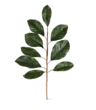 24" Green Magnolia Leaf Stem