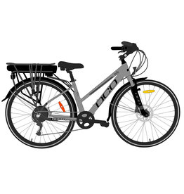 echo electric bike