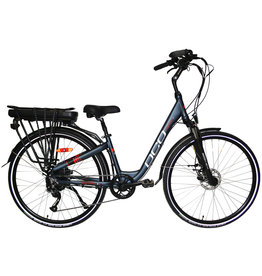 echo electric bike