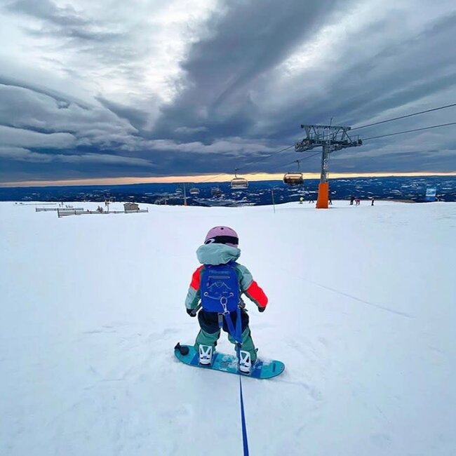 MDXONE OX harnais rétractable bleu pour ski et planche