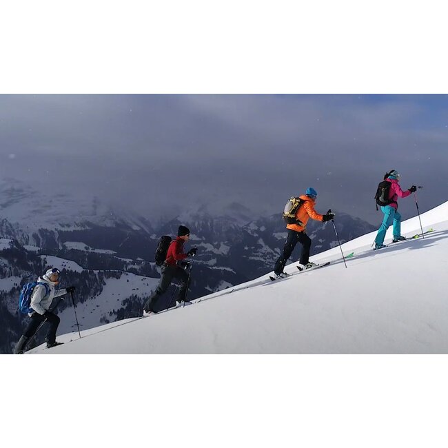 MONTANA M CLIMBING SKIN CUT & GO M CLAMP 20