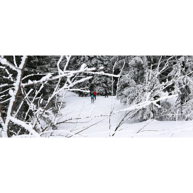 Rossignol Tour Step In fixations ski de fond