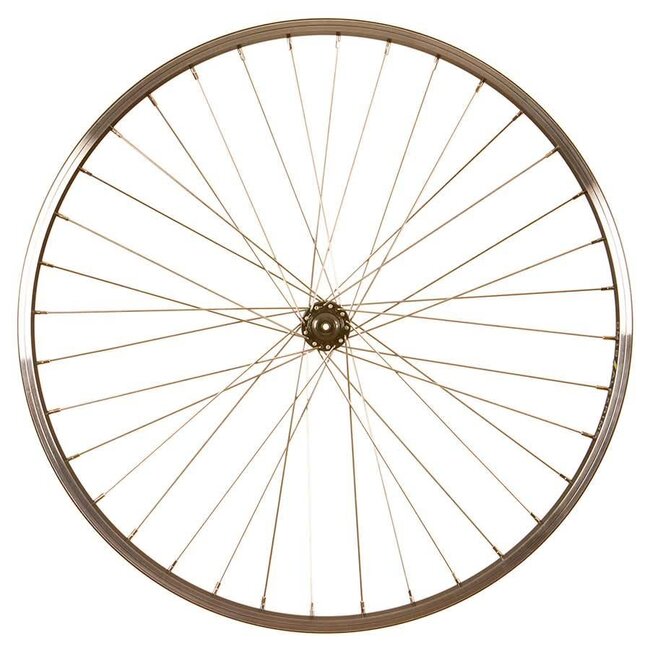 Wheel Shop Roue Avant Alex DM18 / Shimano Tourney HB-TX500 Noir/Inox Argent 26''/559