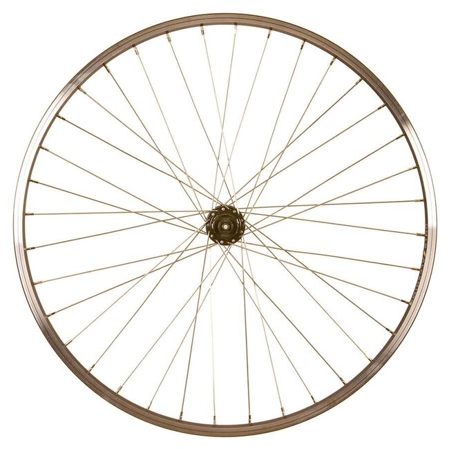 Wheel Shop rear wheel Alex DM18 / Shimano Tourney FH-TY500 Noir/Inox silver 26''/559