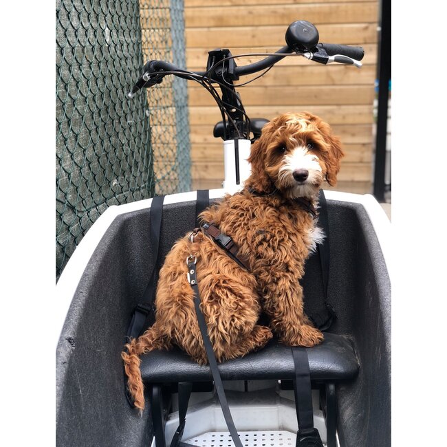 Urban Arrow Family Banquette EXTRA (EL)