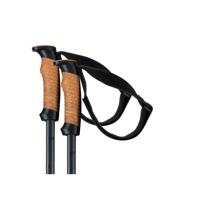 Elan Voyager alpine pole & ski bag (carry on)