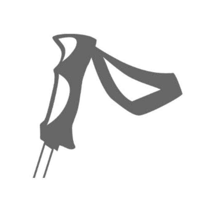 Leki Hot Shot S noir-anthracite bâton alpin sr