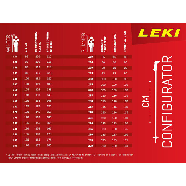 Leki Bliss bâton ski alpin bronze-blanc