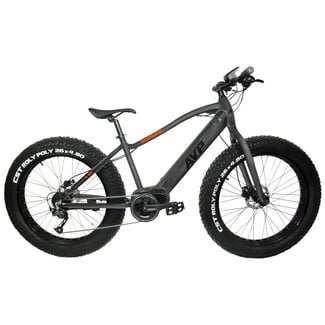 AVP AVP FB-350 charcoal-orange fat bike électrique unisexe
