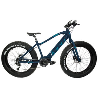DCO DCO Realfat 26 E dark blue electric fat bike