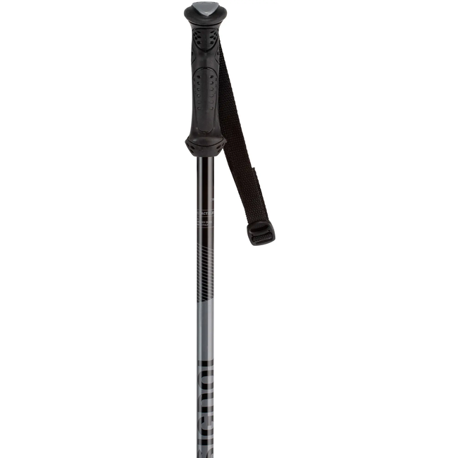 Rossignol Tactic junior alpine ski pole grey