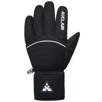 Auclair Auclair Parabolic Junior ski glove black