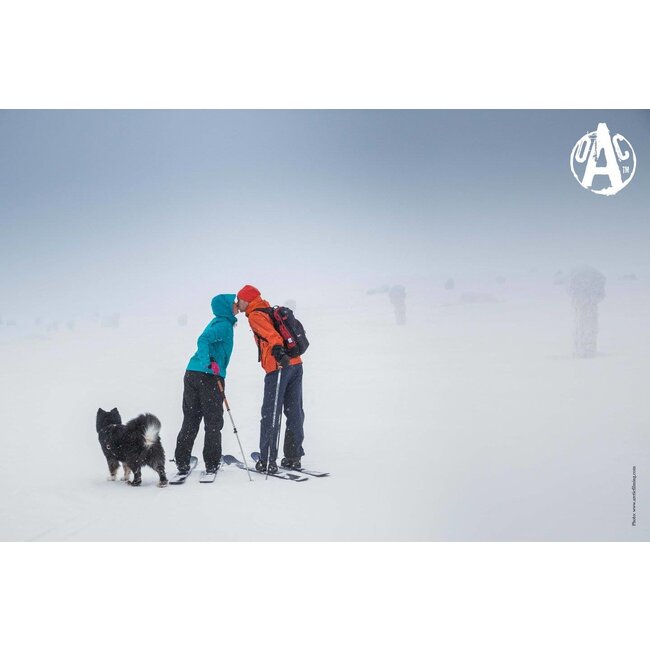 OAC WAP 129 bleu-blanc ski raquette