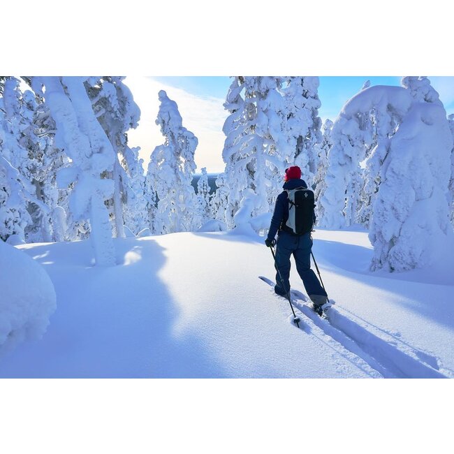 OAC WAP 129 bleu-blanc ski raquette