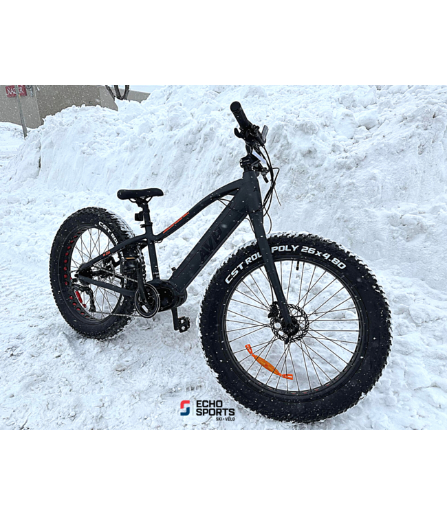 avp bike