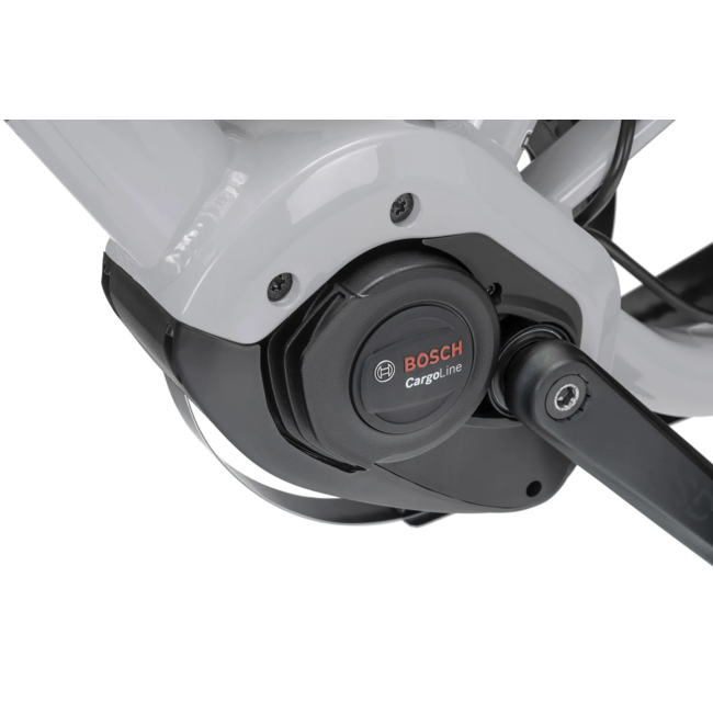 Tern GSD R14 folding cargo E-bike forge grey