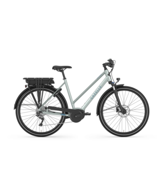 GAZELLE Gazelle Medeo T9 Low step vélo électrique