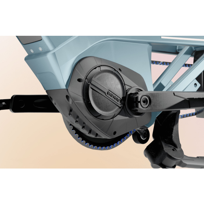 Dost Crate cargo cruiser step over E-bike