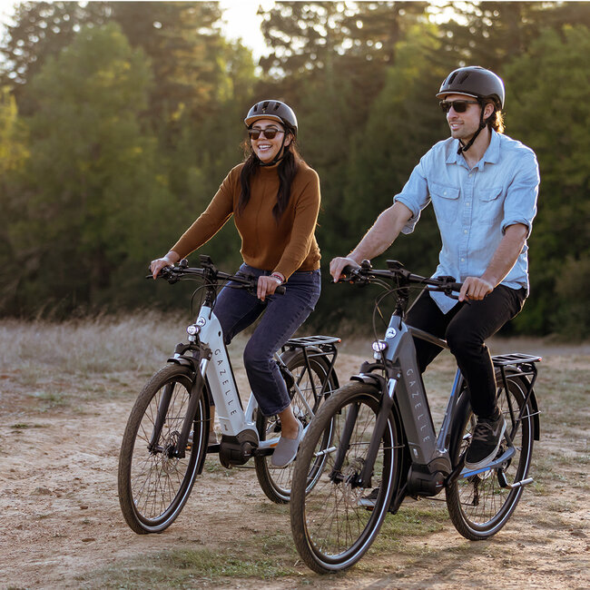 Gazelle Ultimate T10 Bosch Smart System low-step E-bike