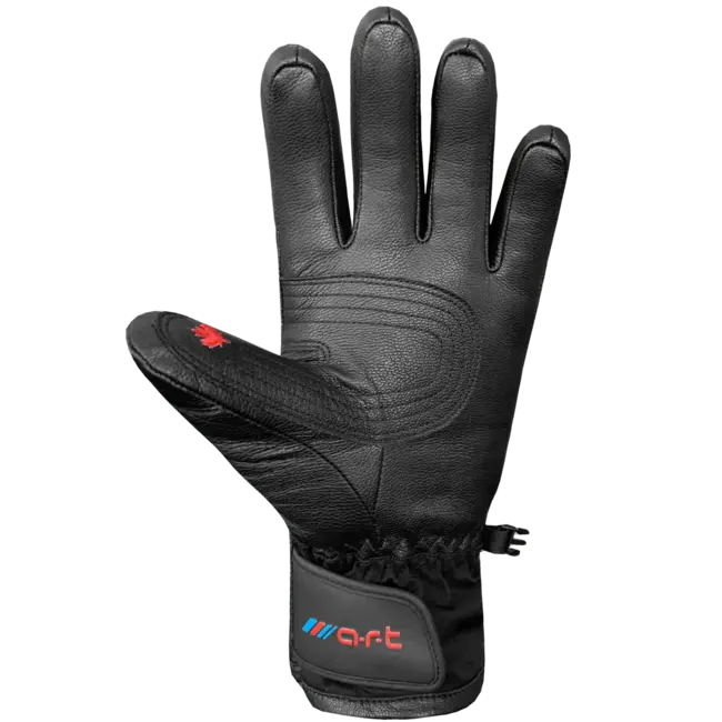 Auclair Son Of T 4 Adult SKI Gloves