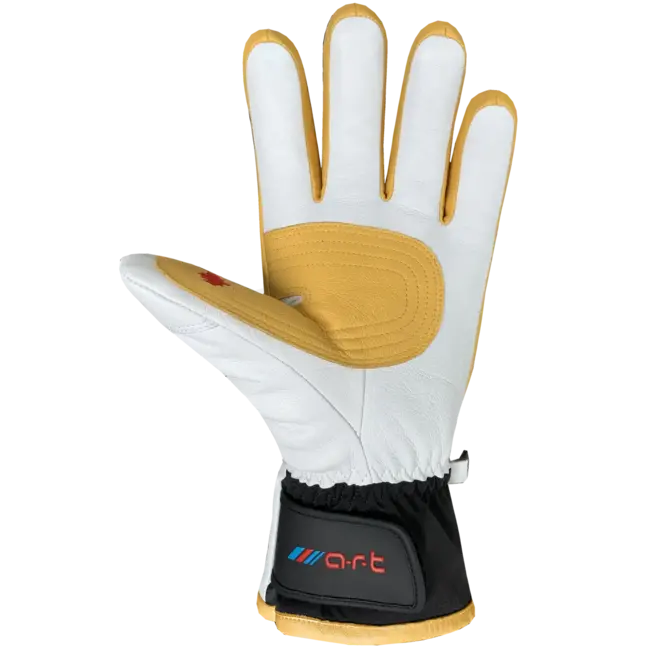 Auclair Son Of T 4 gants de ski adulte