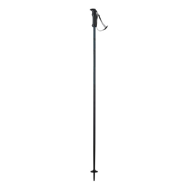 Elan Hotrod adult alpine ski poles