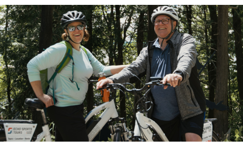 Location de vélo été