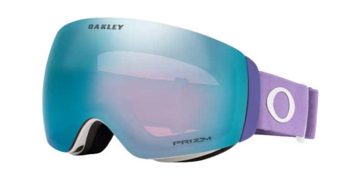 Oakley Flight Deck snow goggle - Echo Sports