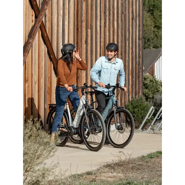 Gazelle Ultimate C8 Low step Smart System Vélo électrique