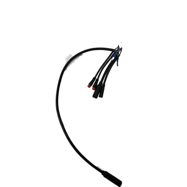 IGO Wiring Harness, Controller to Motor, for 3 pin Cadence Sensor and Round ...