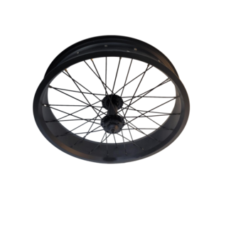 IGO Front Wheel Complete 20" (Royal)