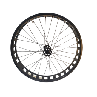 IGO Fat Wheel with RIM, hub and spokes 28"