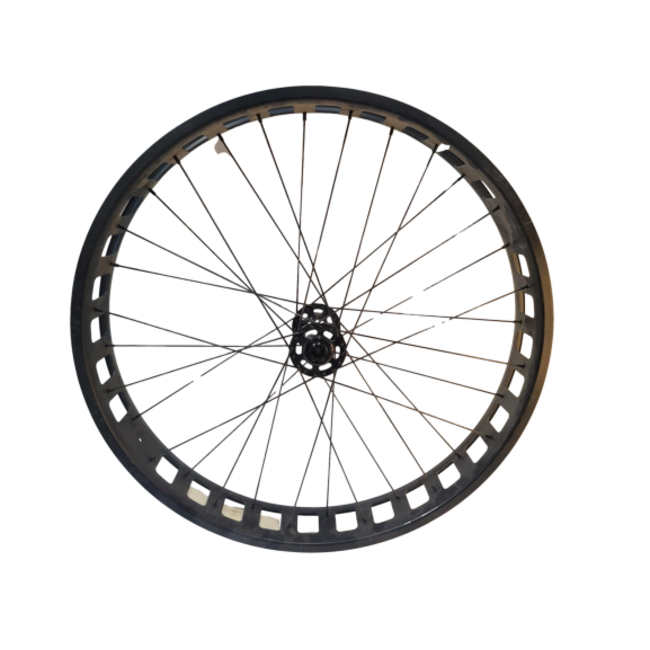 IGO Fat Wheel with RIM, hub and spokes 28"