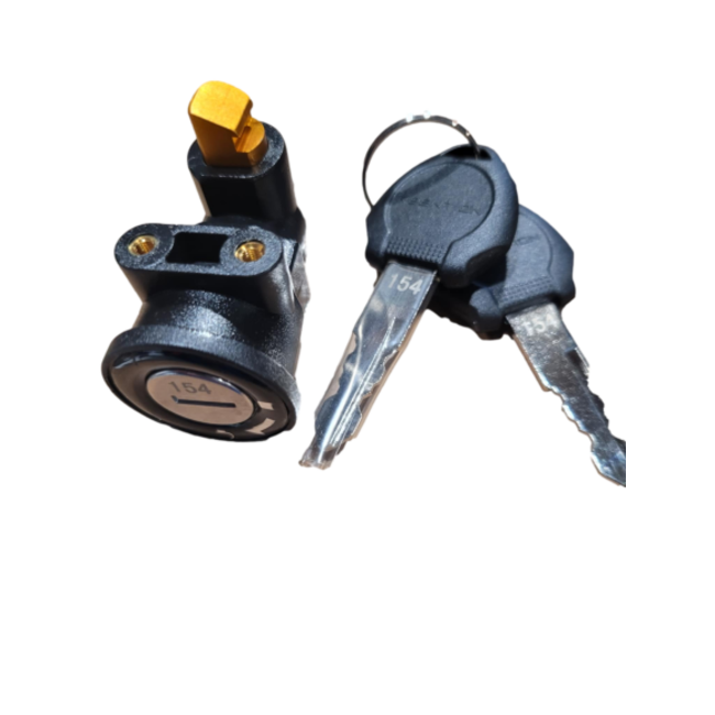 IGO Battery Lock assembly with keys (Discovery, Oka, Laurentian)