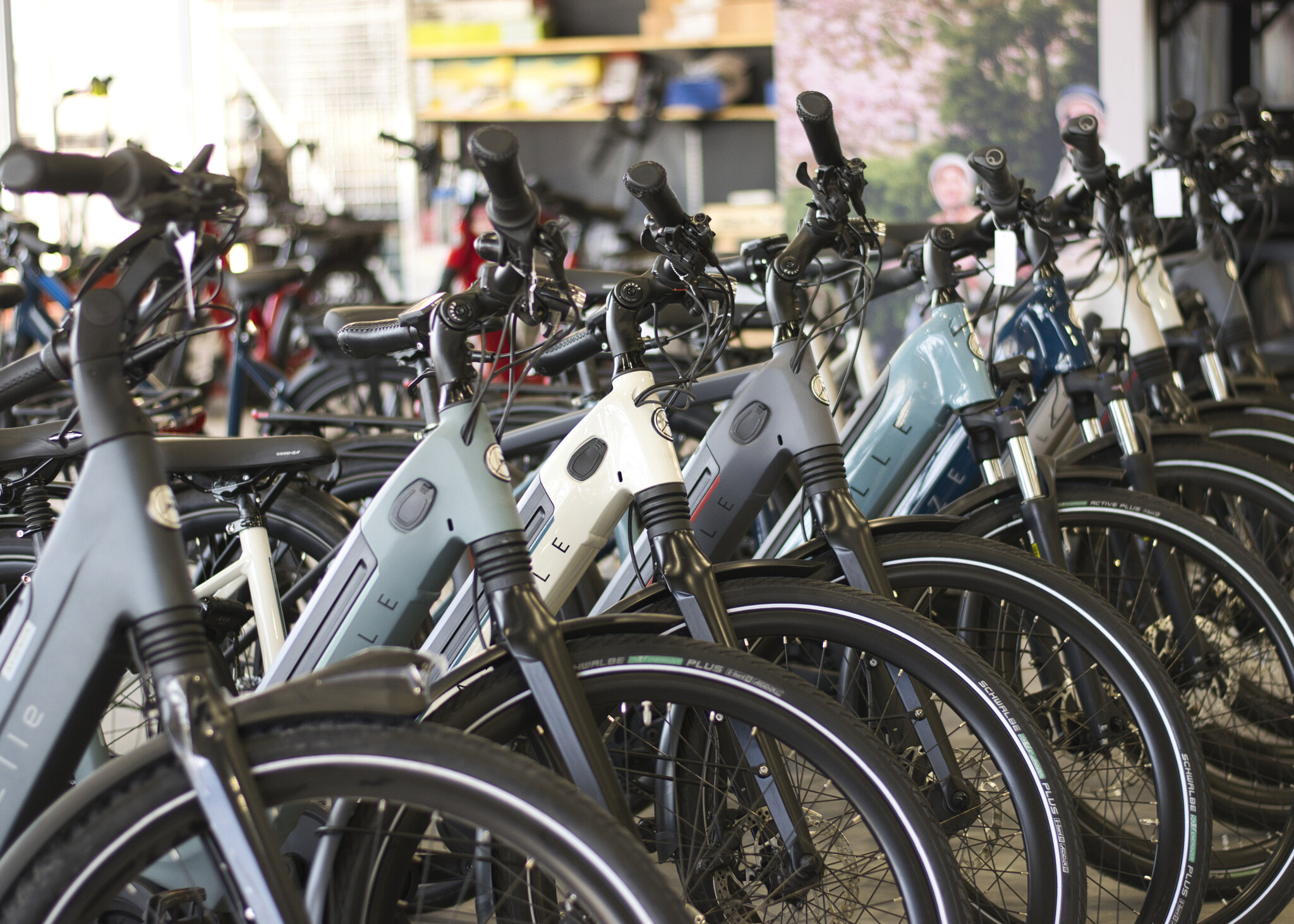 showroom-echo-sports-gazelle