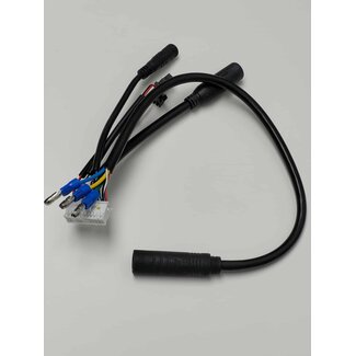 Harnais principal pour contrôleur ASI Bac 500/555