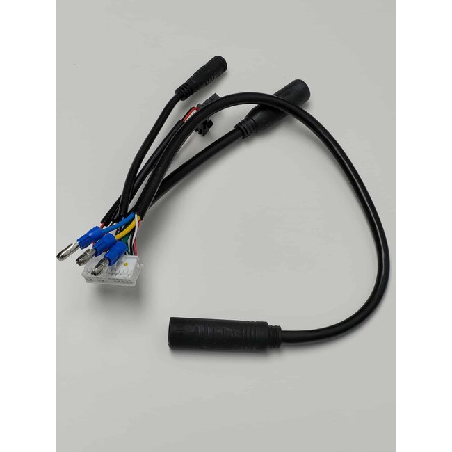 Harnais principal pour contrôleur ASI Bac 500/555