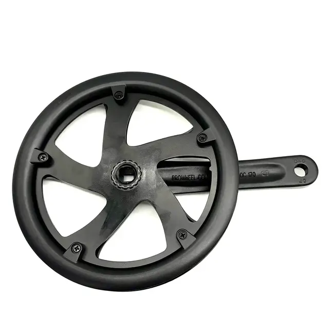 Chainring and Crank Prowheel A00C 170 CT