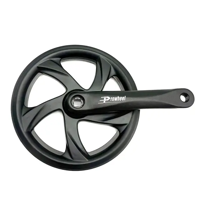 Chainring and Crank Prowheel A00C 170 CT