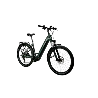 BULLS BULLS ICONIC EVO 1 750 Wave Vélo électrique