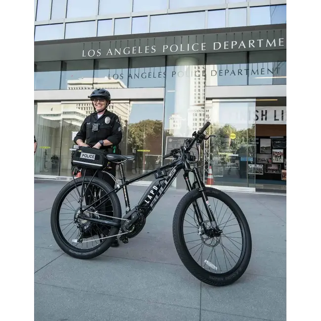 BULLS Sentinel 750 Speed Smart System  Vélo électrique