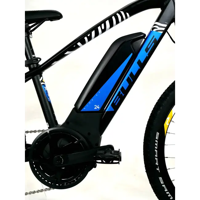 BULLS Twenty4 E 24” Electric Mountain Bike