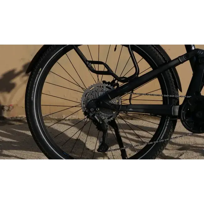 BULLS Iconic EVO TR 1 Smart System 750 Electric Bike